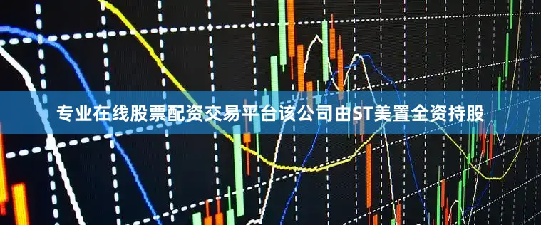 专业在线股票配资交易平台该公司由ST美置全资持股