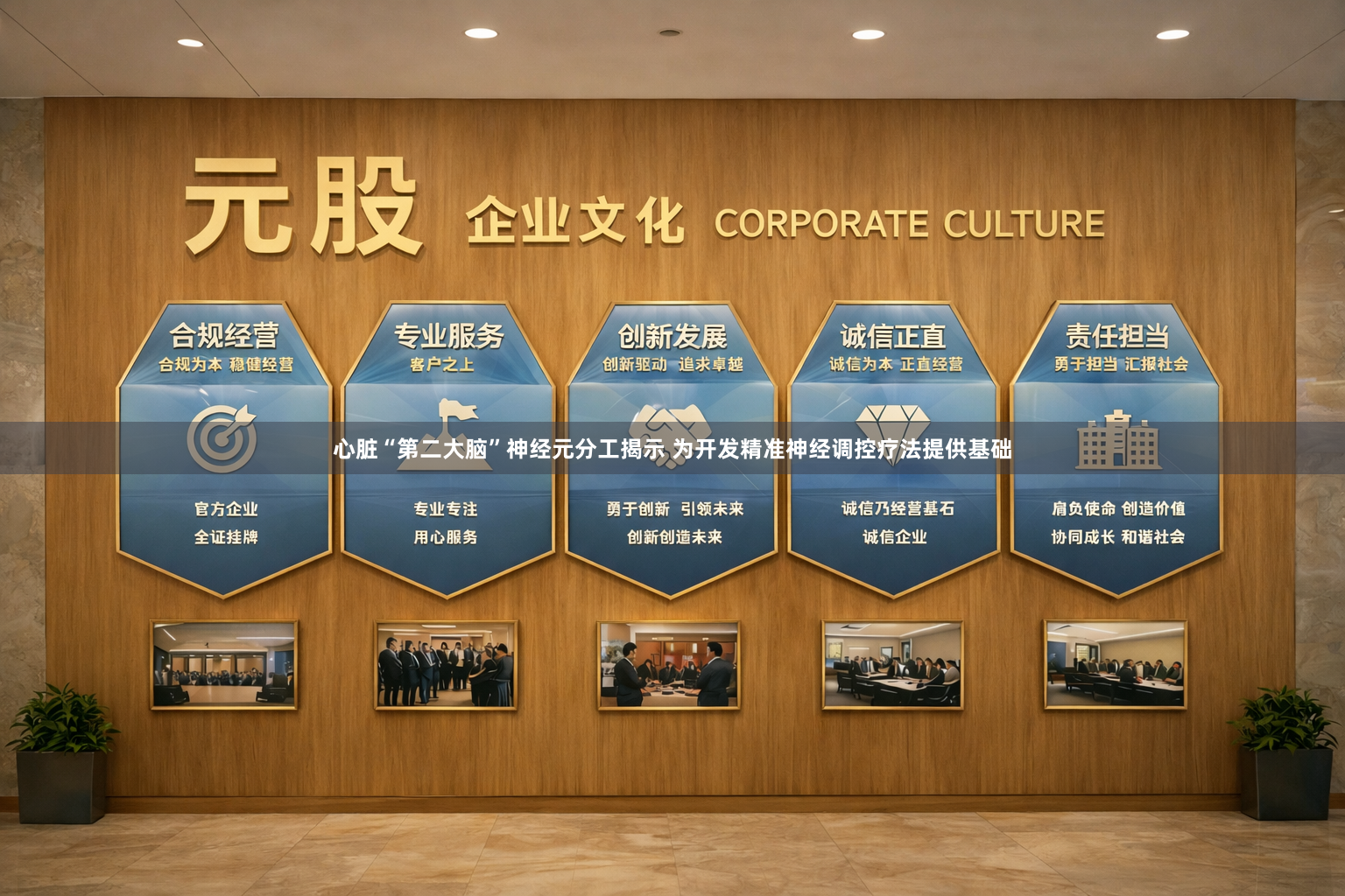 心脏“第二大脑”神经元分工揭示 为开发精准神经调控疗法提供基础