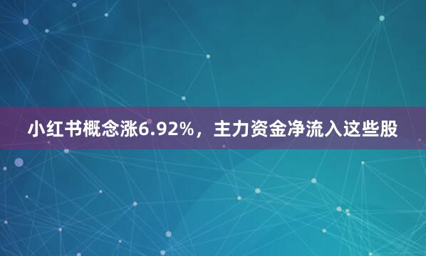 小红书概念涨6.92%，主力资金净流入这些股